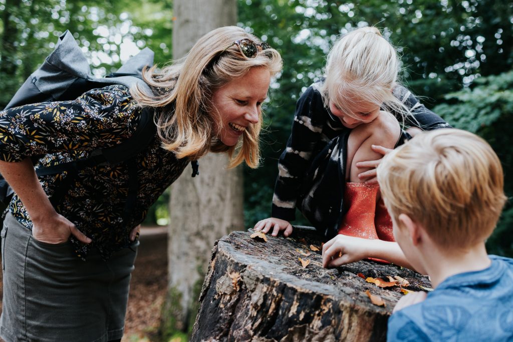 Moeder en haar twee kinderen bekijken beestjes op een oude boomstronk. Lachend buigen ze zich over het vermolmde hout heen.